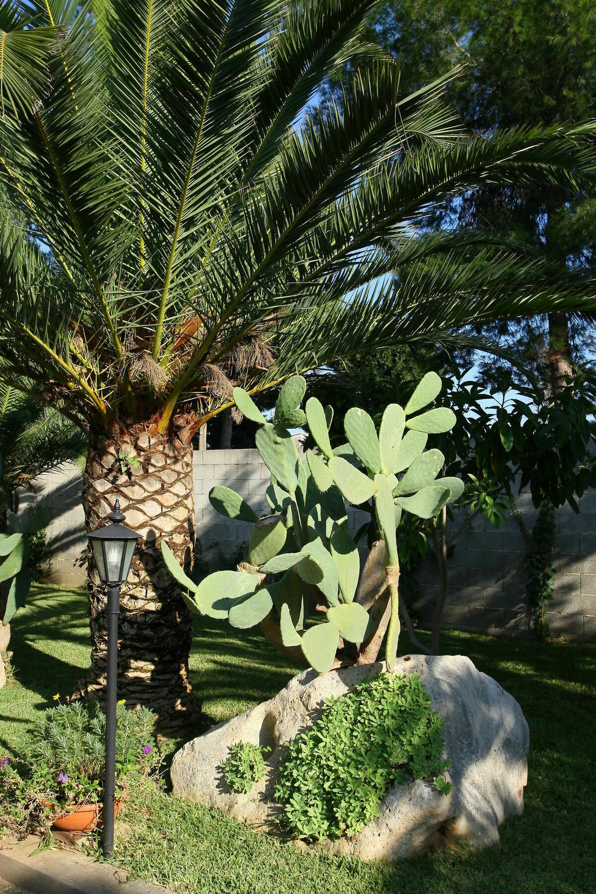 Lecce Guesthouse מראה חיצוני תמונה