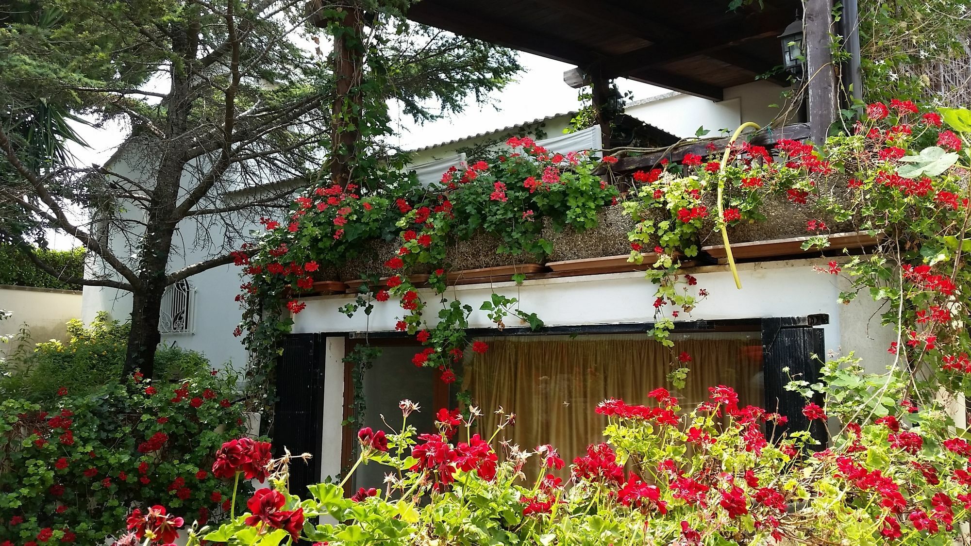 Lecce Guesthouse מראה חיצוני תמונה